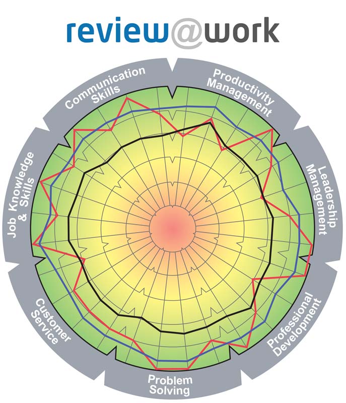 This diagnostic effectively assesses and uncovers the strengths, weaknesses, and growth opportunities within your team.
